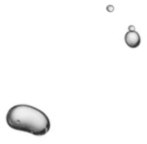https://leoservecleaning.com/wp-content/uploads/2021/10/img-bubbles-hero-4.png