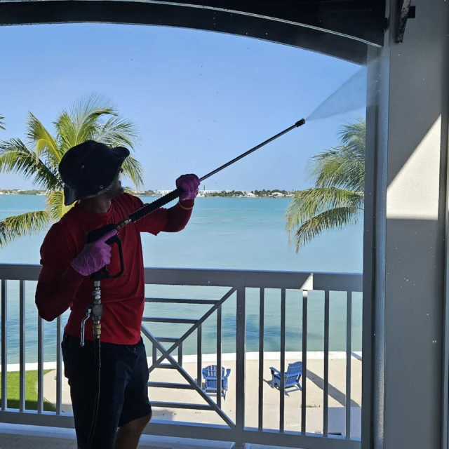 House Pressure Washing