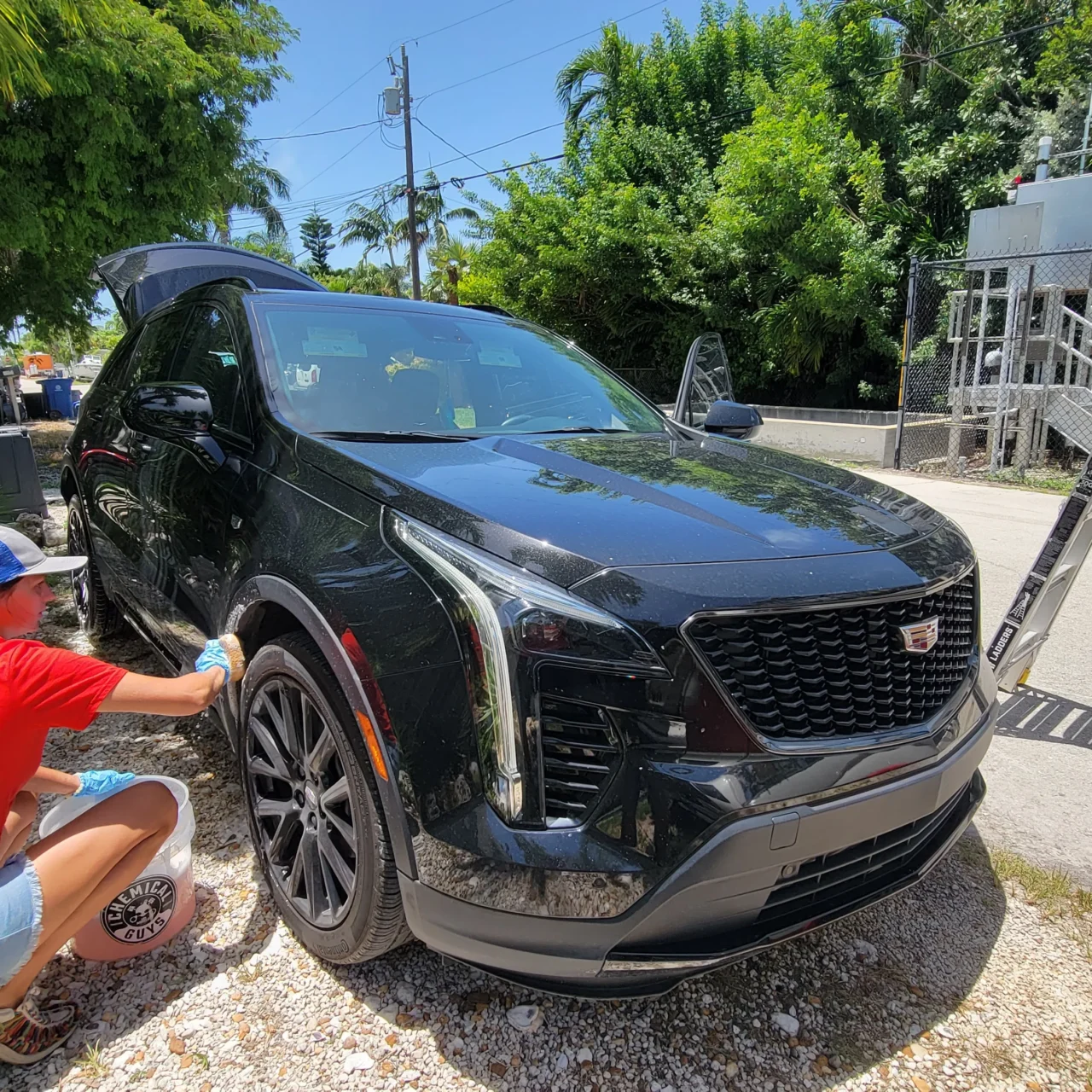 Car cleaning leoserve