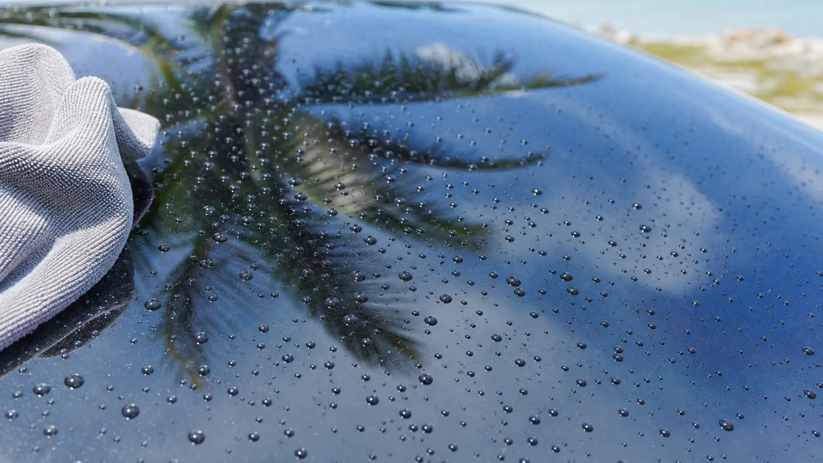 Clean water beading on a freshly detailed car after a DI-water final rinse in the Florida Keys